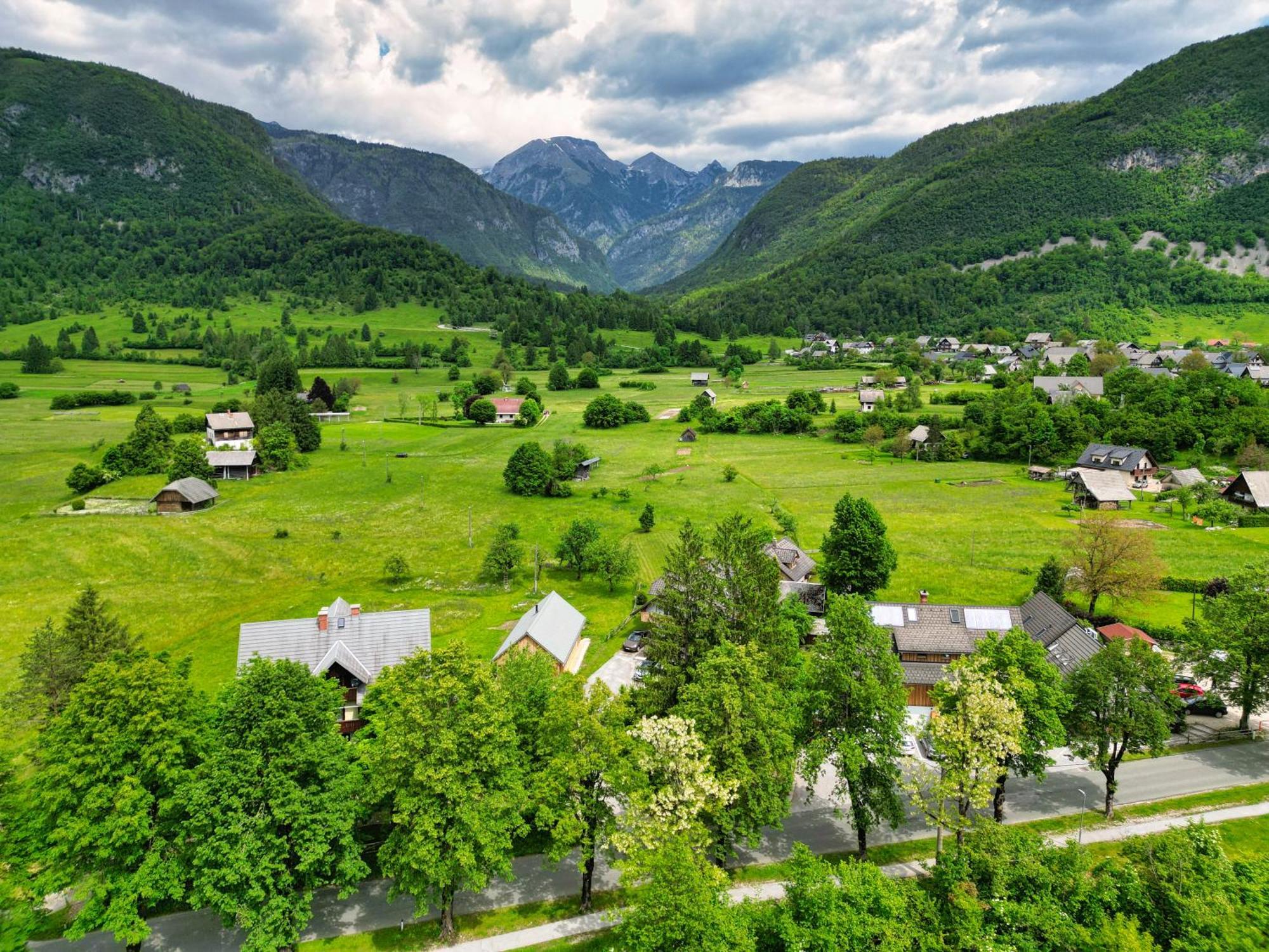 Kovacic Bohinji-tó